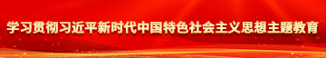 日本女孩被男人用力插下面学习贯彻习近平新时代中国特色社会主义思想主题教育