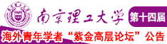 欧美骚熟妇老女人南京理工大学第十四届海外青年学者紫金论坛诚邀海内外英才！